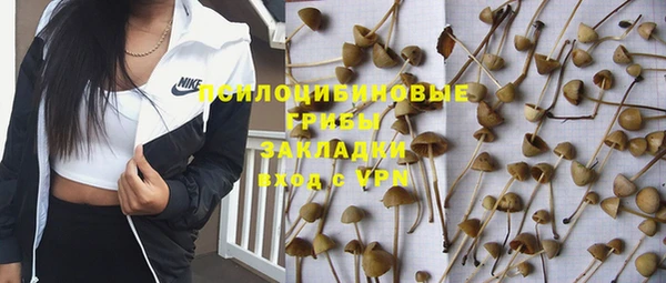 кокаин премиум Заводоуковск